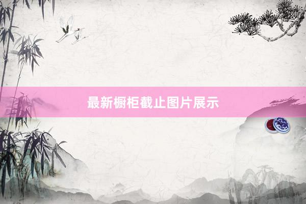 最新橱柜截止图片展示