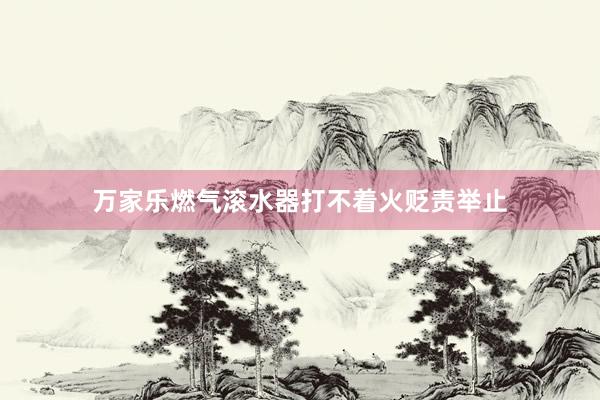 万家乐燃气滚水器打不着火贬责举止