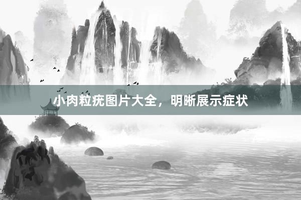 小肉粒疣图片大全，明晰展示症状