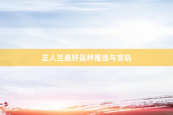 正人兰最好品种推选与赏玩
