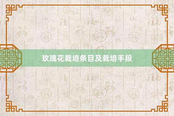 玫瑰花栽培条目及栽培手段